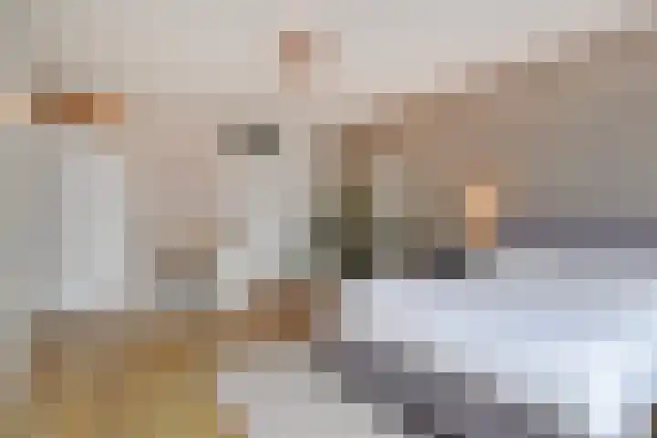 Velddreef 157 A Zoetermeer thumbnail 15