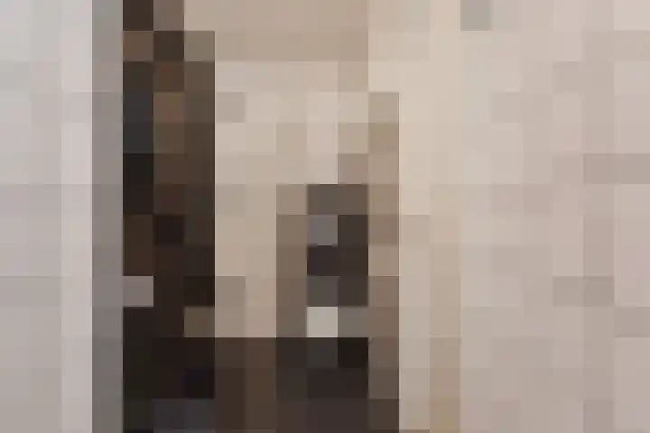 Velddreef 157 A Zoetermeer thumbnail 19