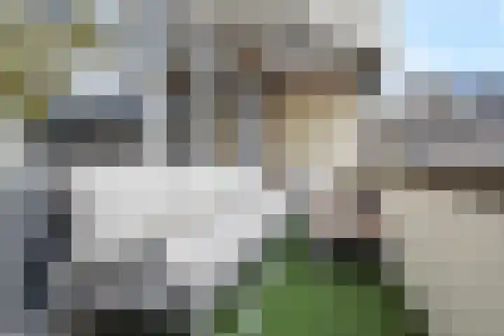 Velddreef 157 A Zoetermeer thumbnail 21