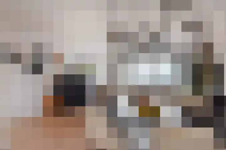 Velddreef 157 A Zoetermeer thumbnail 8