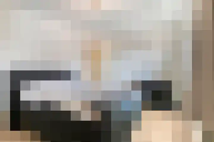 Velddreef 159 Zoetermeer thumbnail 12