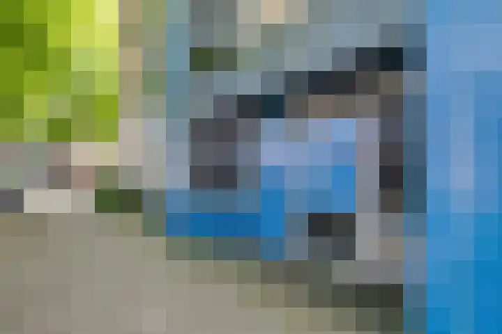 Velddreef 159 Zoetermeer thumbnail 18