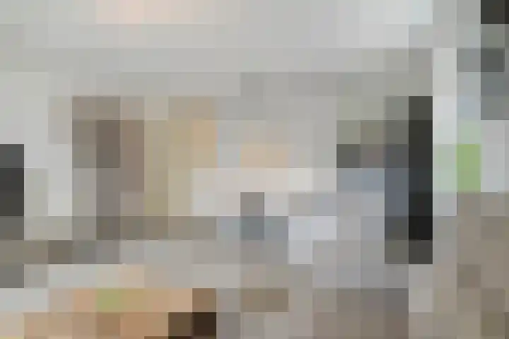 Velddreef 159 Zoetermeer thumbnail 4