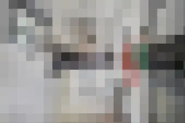 Velddreef 159 Zoetermeer thumbnail 5