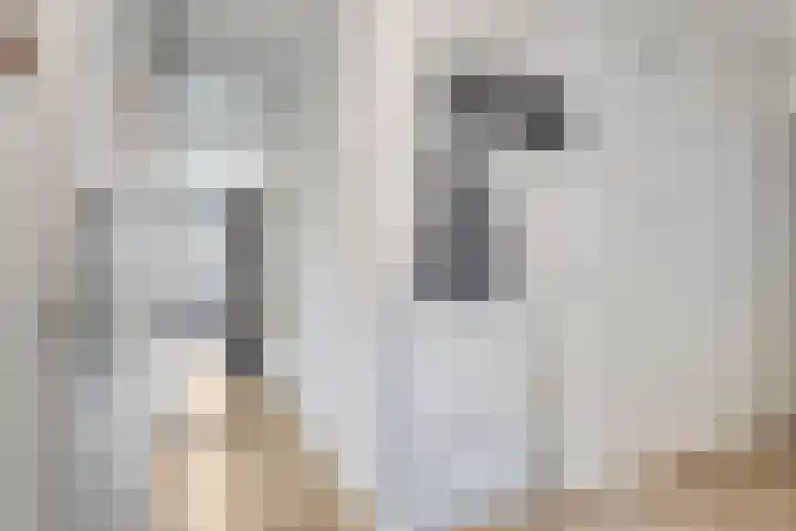 Velddreef 159 Zoetermeer thumbnail 8