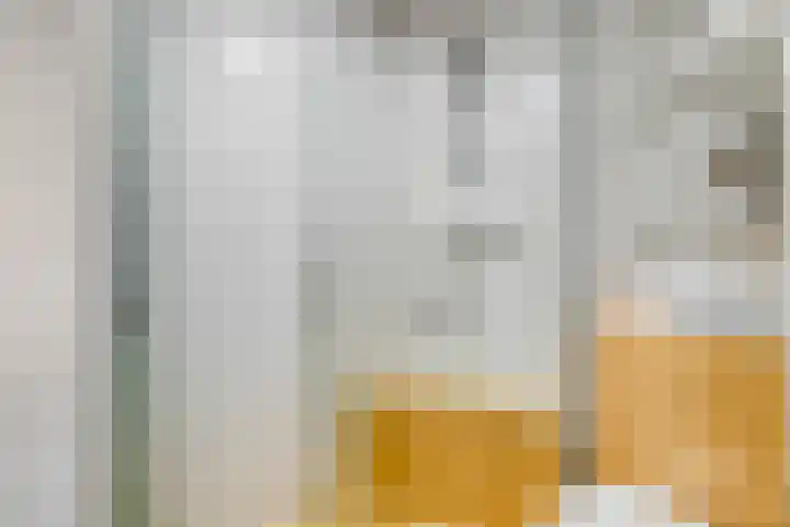 Velddreef 159 Zoetermeer thumbnail 9