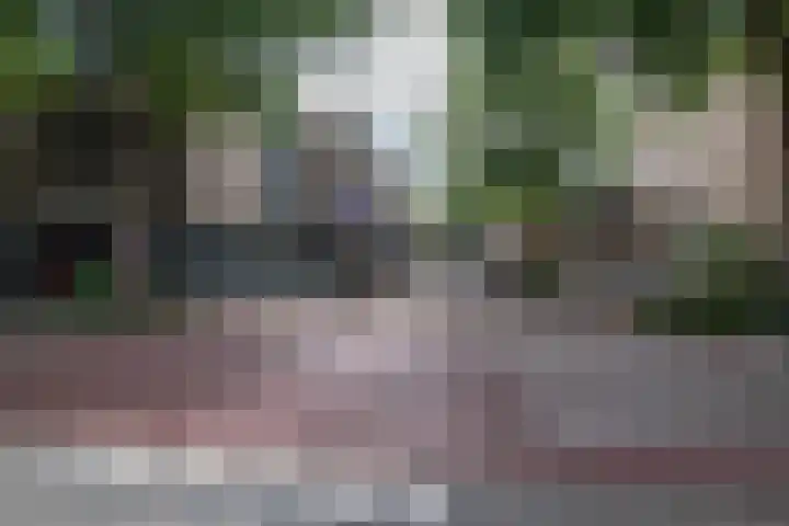 Velddreef 188 Zoetermeer thumbnail 27