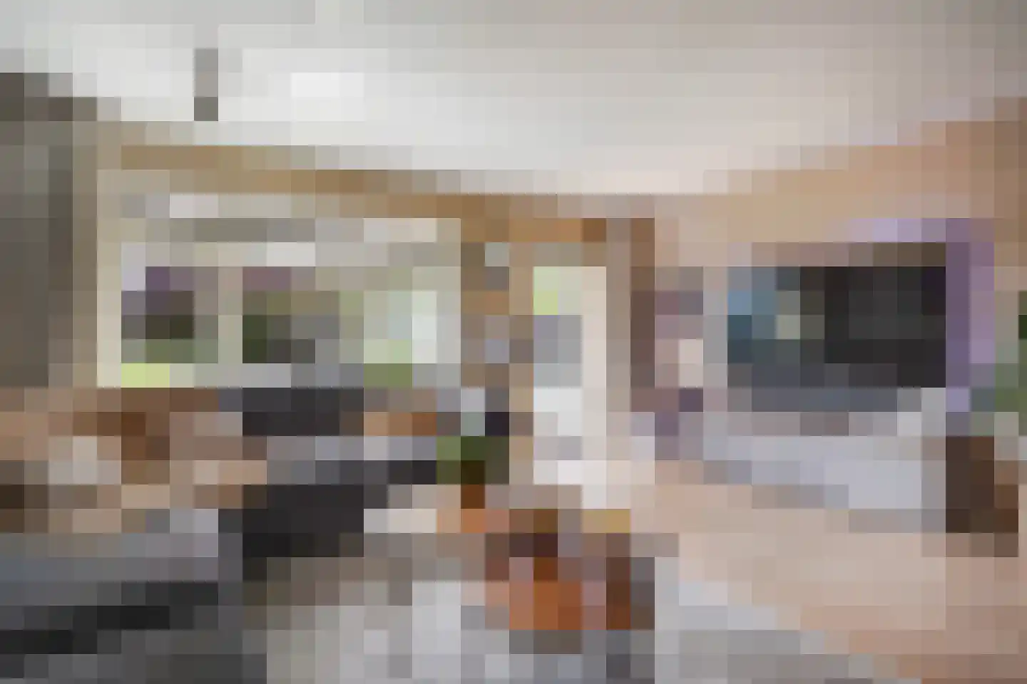 Velddreef 285 Zoetermeer thumbnail 16