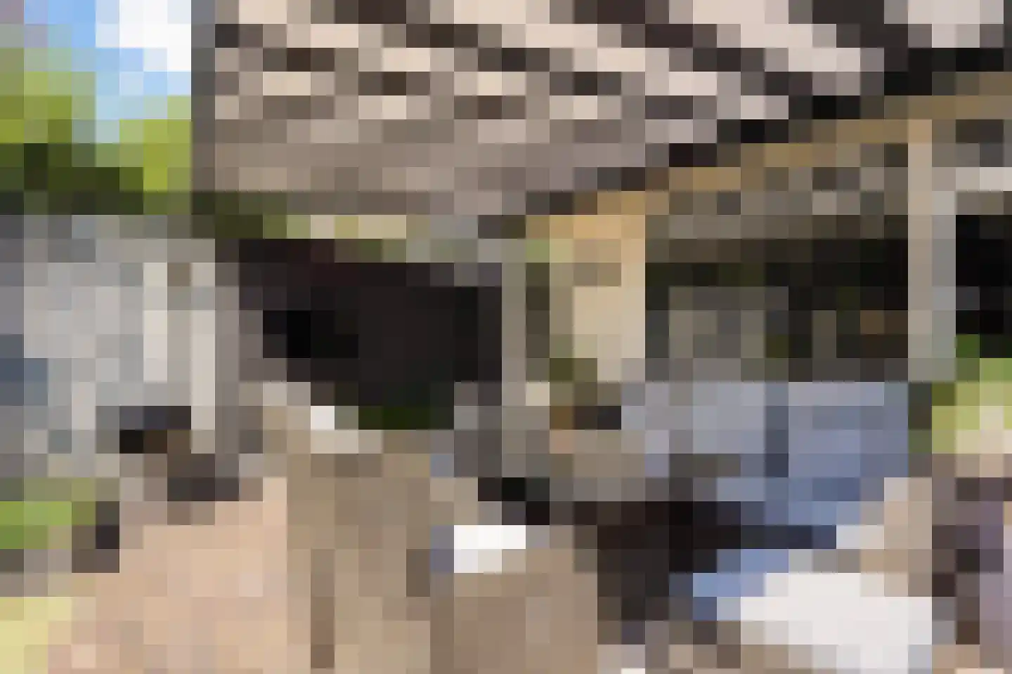 Velddreef 285 Zoetermeer thumbnail 17