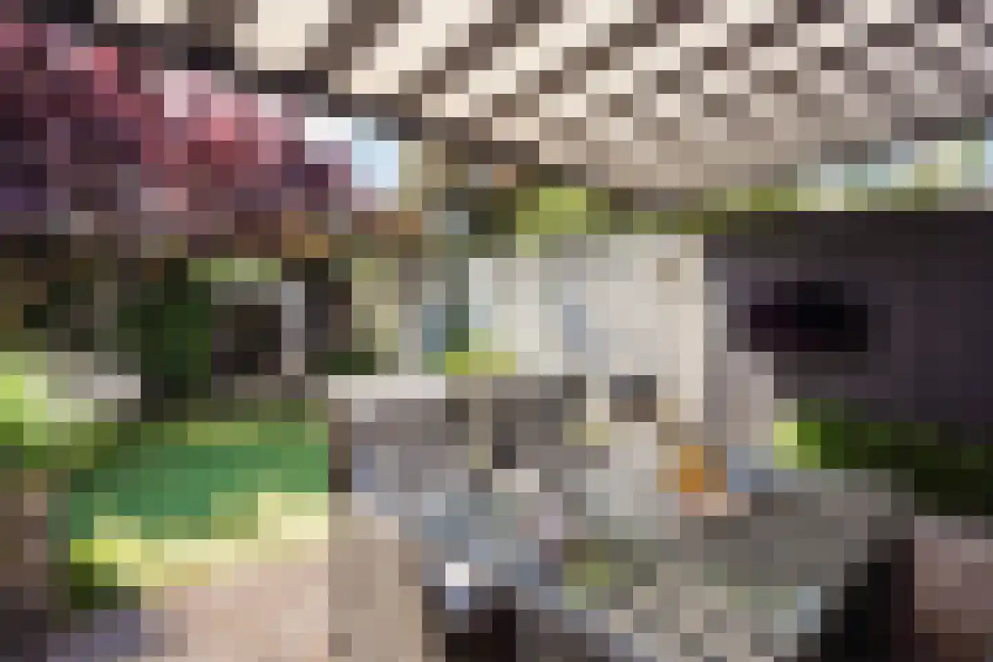 Velddreef 285 Zoetermeer thumbnail 18