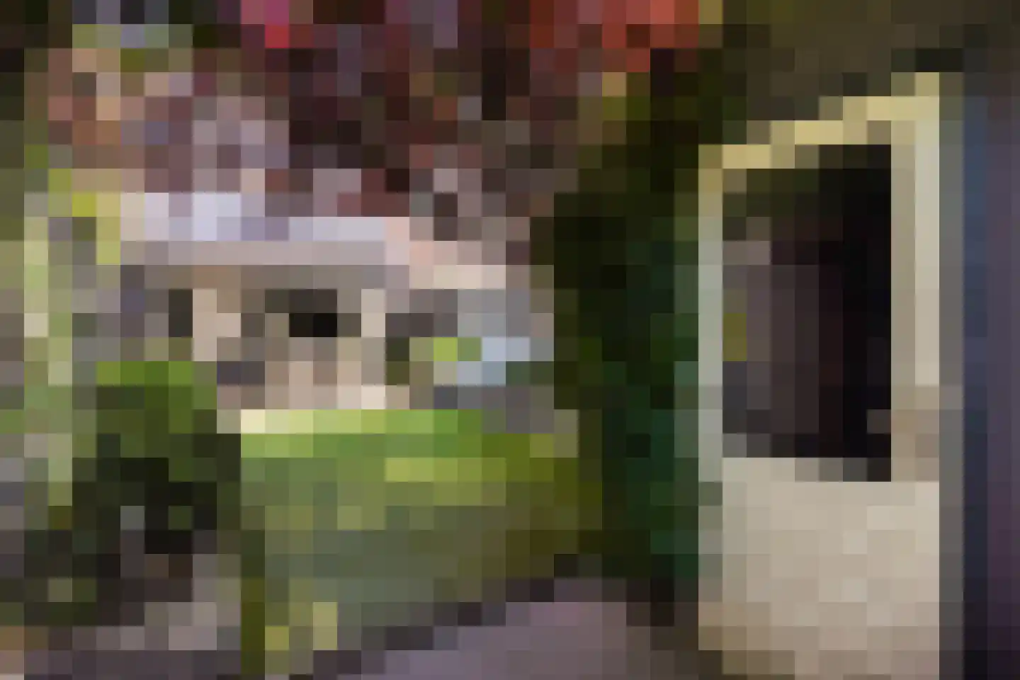 Velddreef 285 Zoetermeer thumbnail 19