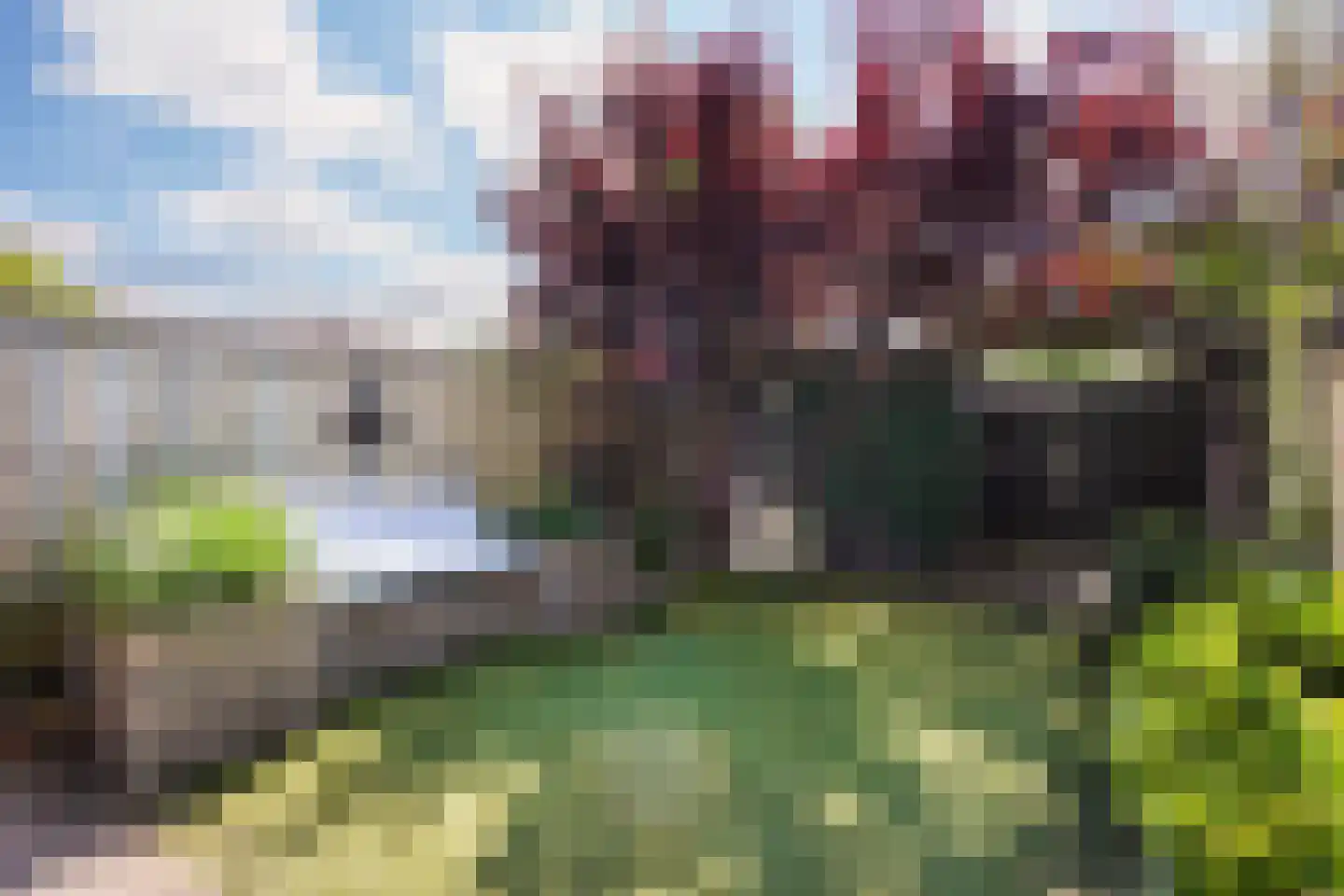 Velddreef 285 Zoetermeer thumbnail 20
