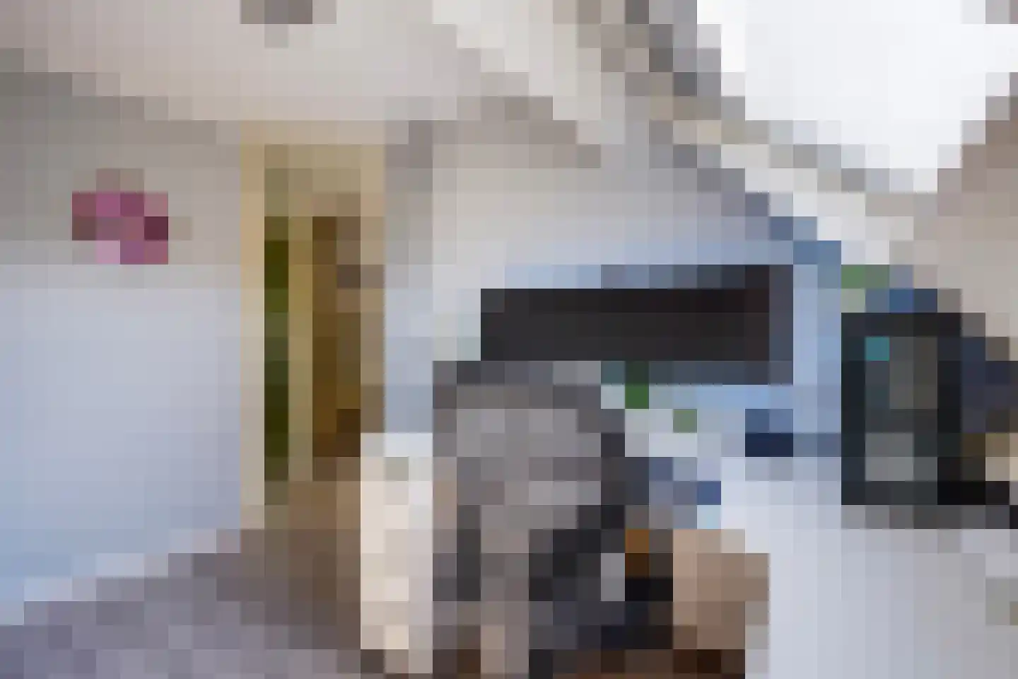 Velddreef 285 Zoetermeer thumbnail 32