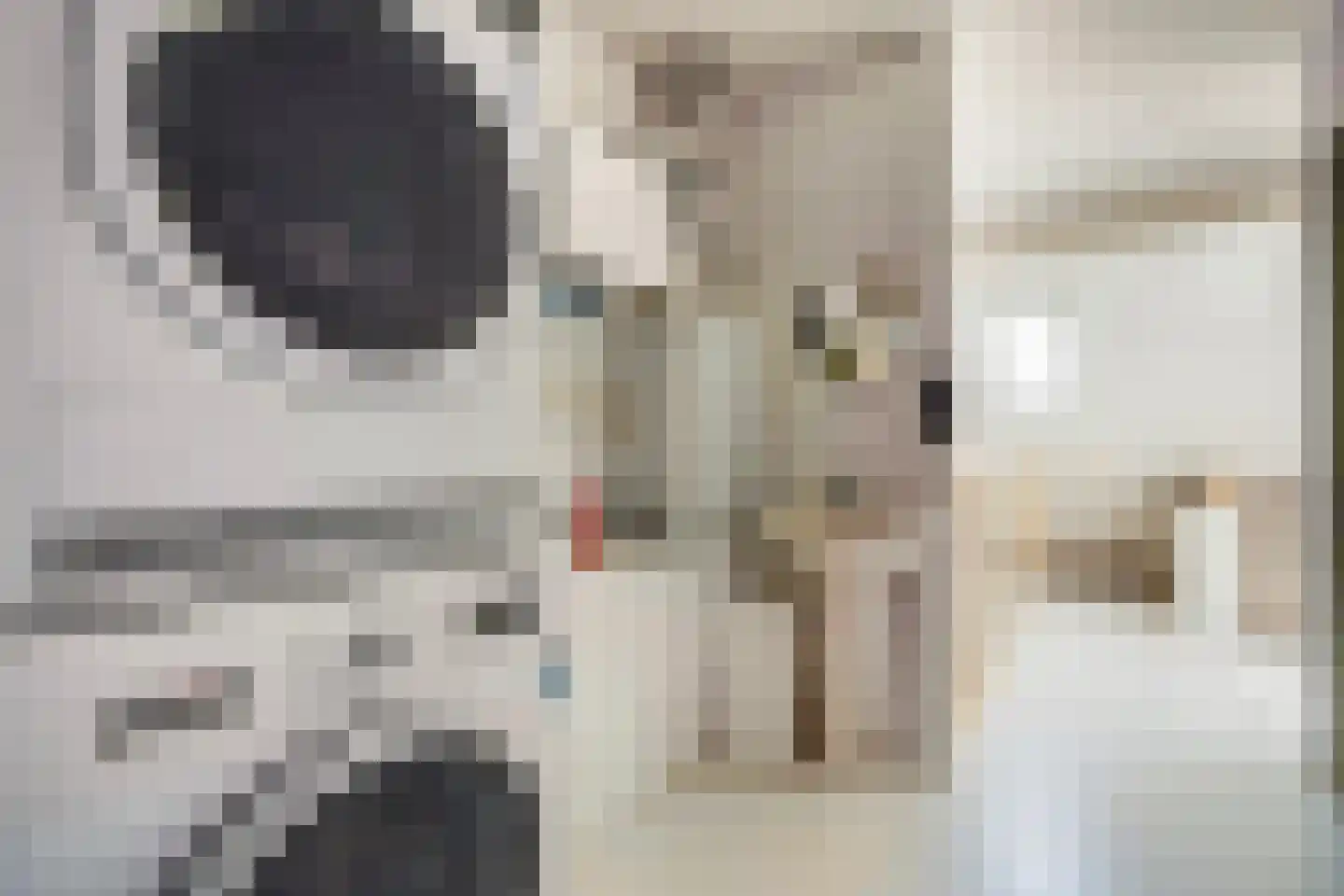 Velddreef 285 Zoetermeer thumbnail 37