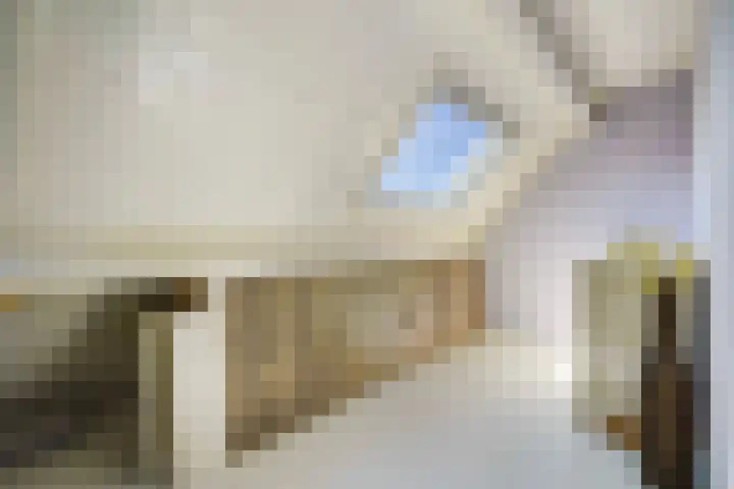 Velddreef 285 Zoetermeer thumbnail 41