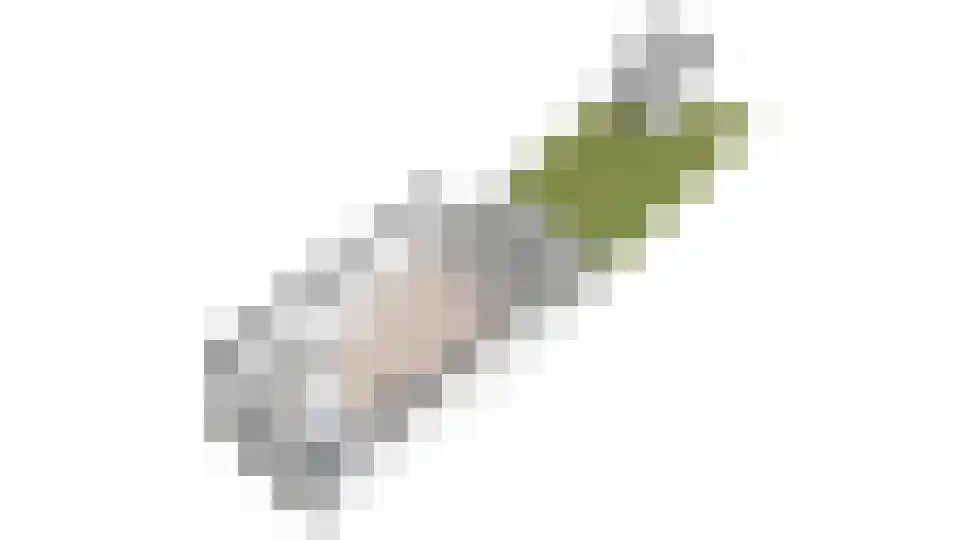 Velddreef 285 Zoetermeer thumbnail 61