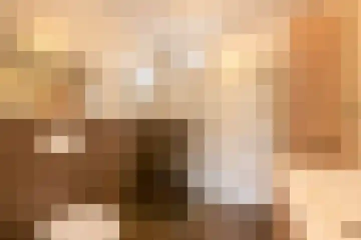 Velddreef 74 Zoetermeer thumbnail 19