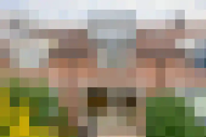 Velddreef 74 Zoetermeer thumbnail 26