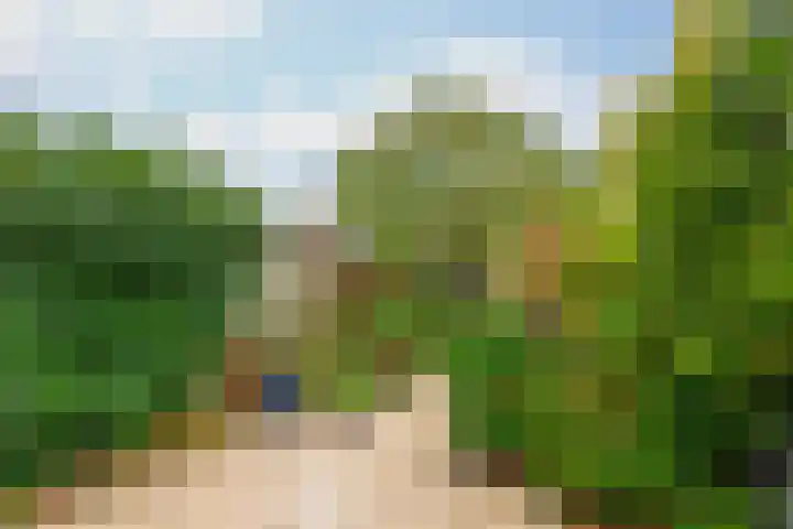 Velddreef 74 Zoetermeer thumbnail 28