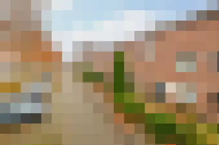 Velddreef 74 Zoetermeer thumbnail 31