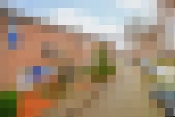 Velddreef 74 Zoetermeer thumbnail 32