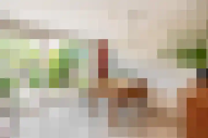 Velddreef 74 Zoetermeer thumbnail 9