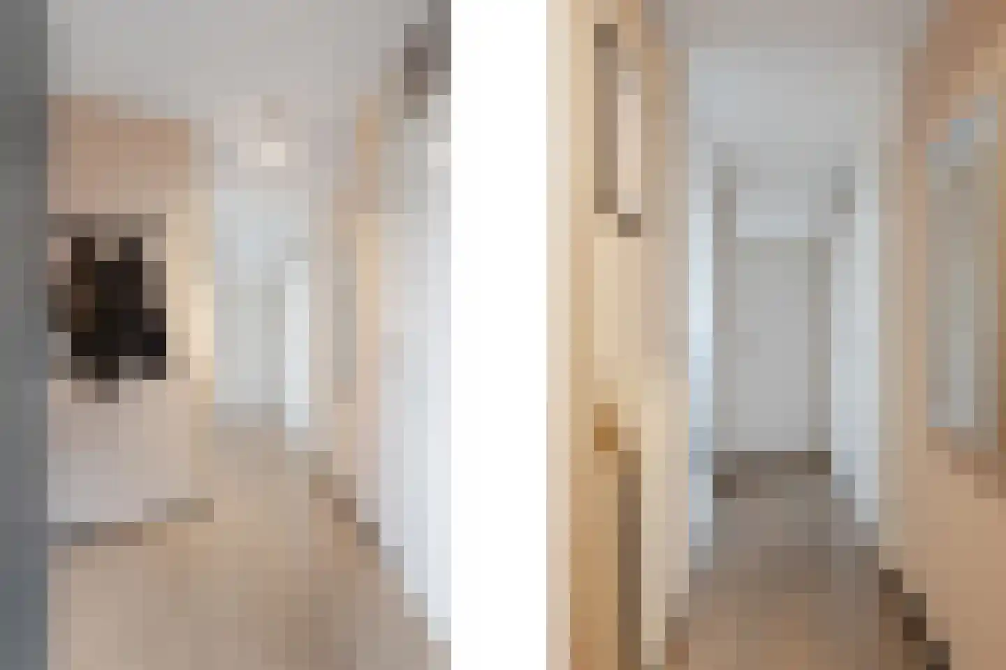 Velddreef 90 Zoetermeer thumbnail 18