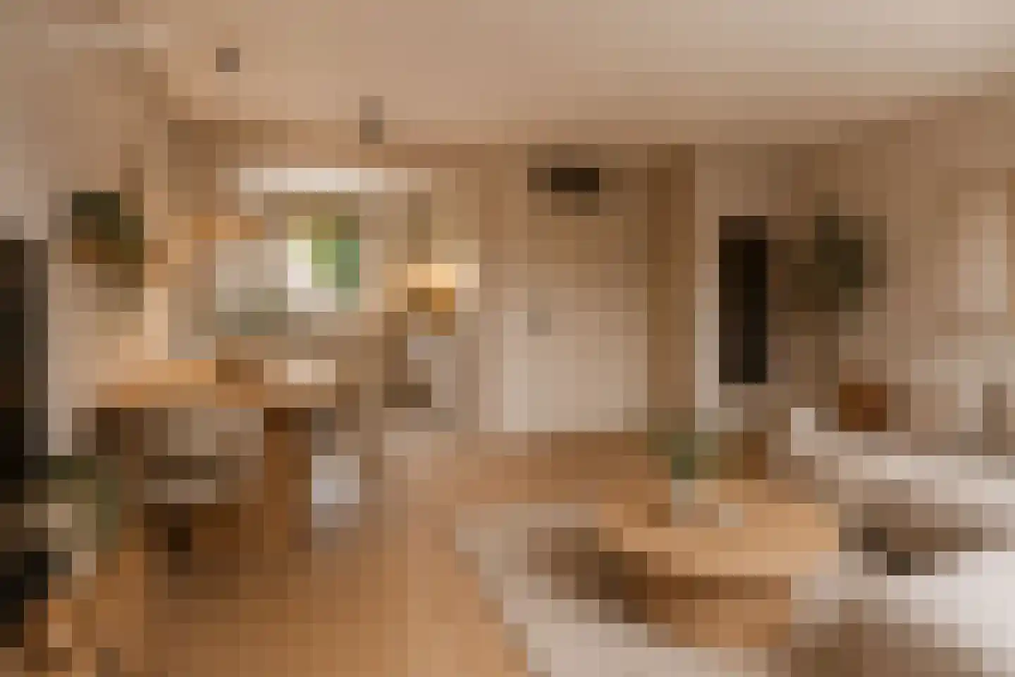 Velddreef 98 Zoetermeer thumbnail 10