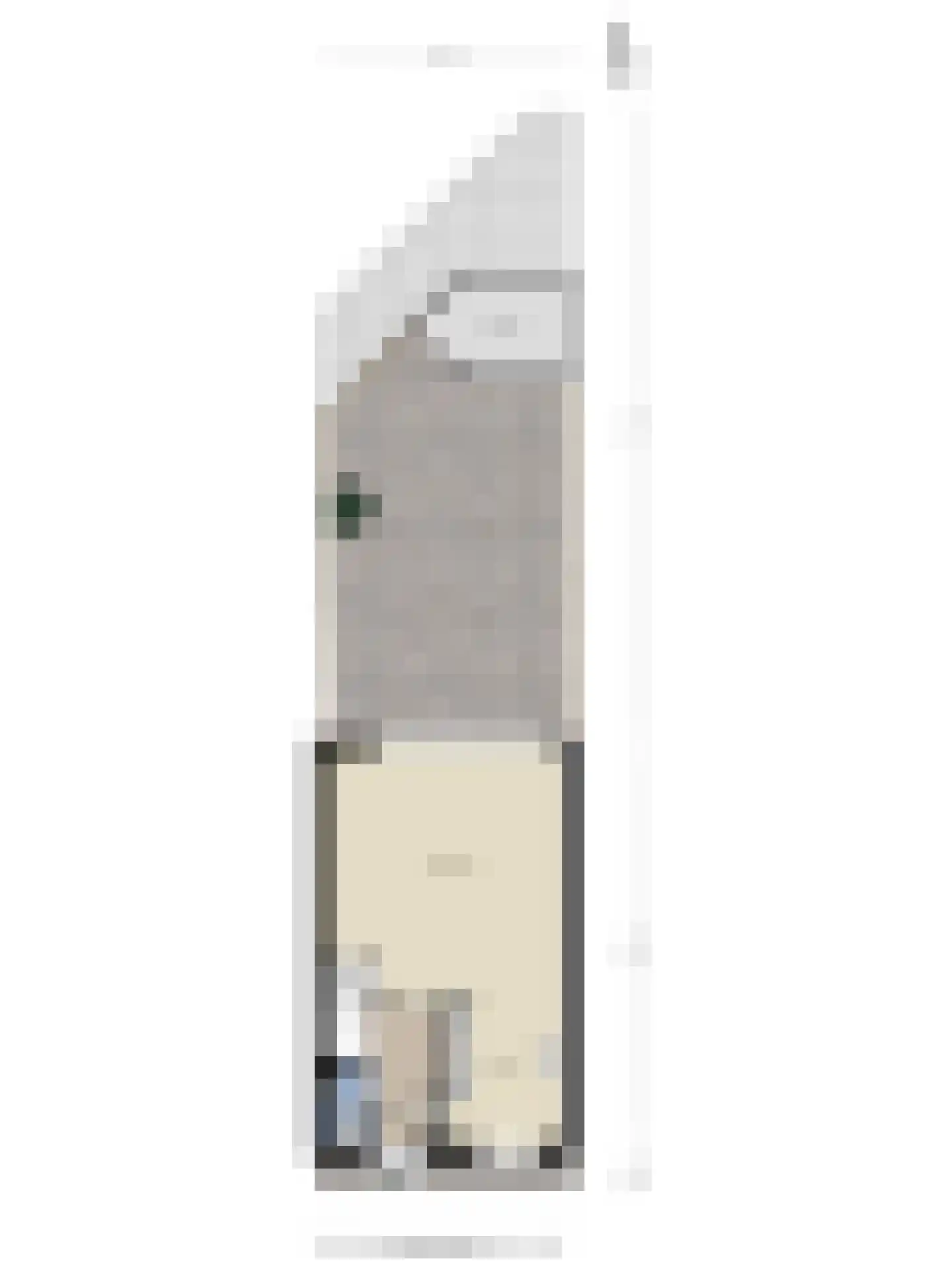 Velddreef 98 Zoetermeer thumbnail 34