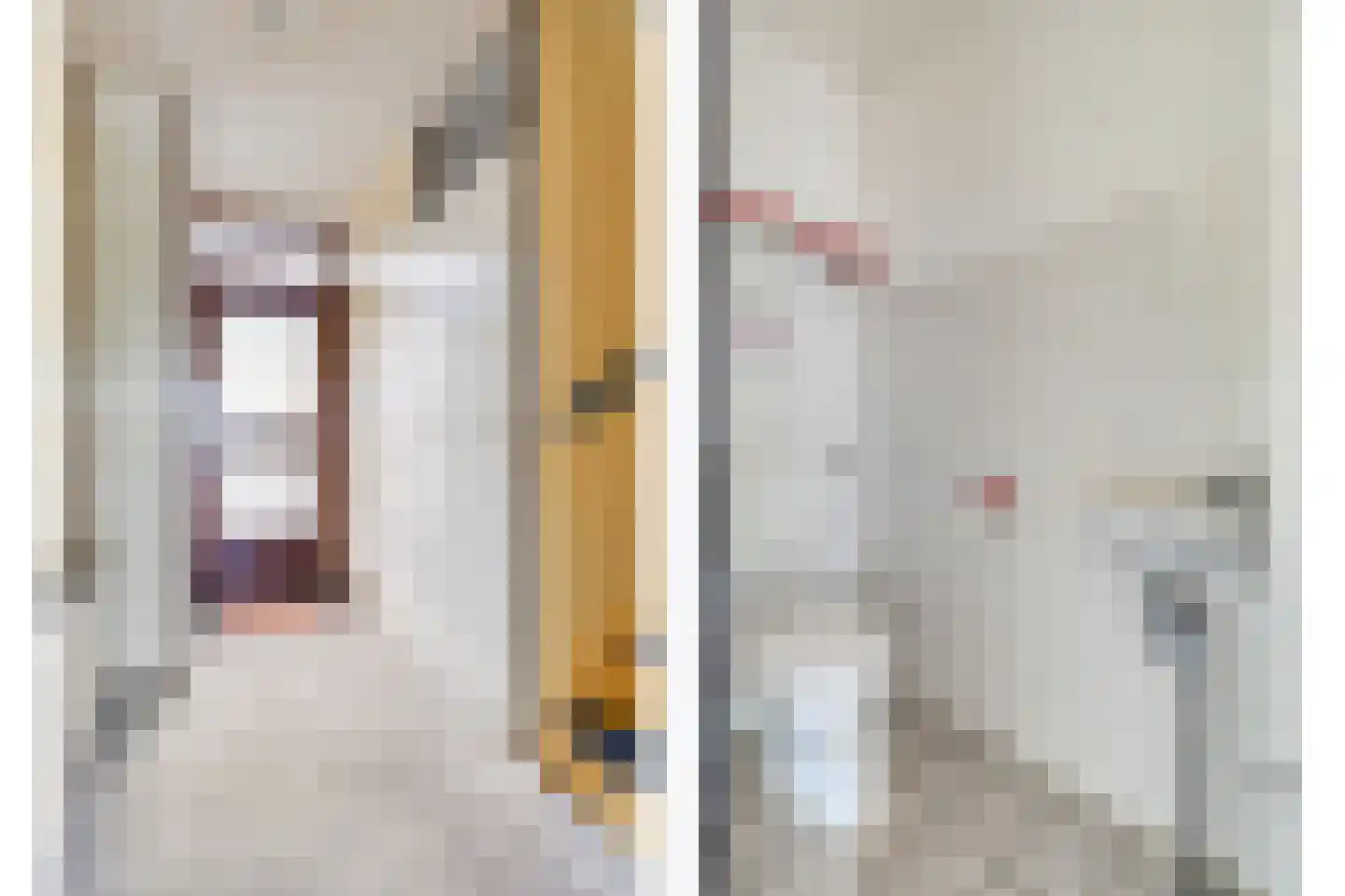 Velddreef 98 Zoetermeer thumbnail 6