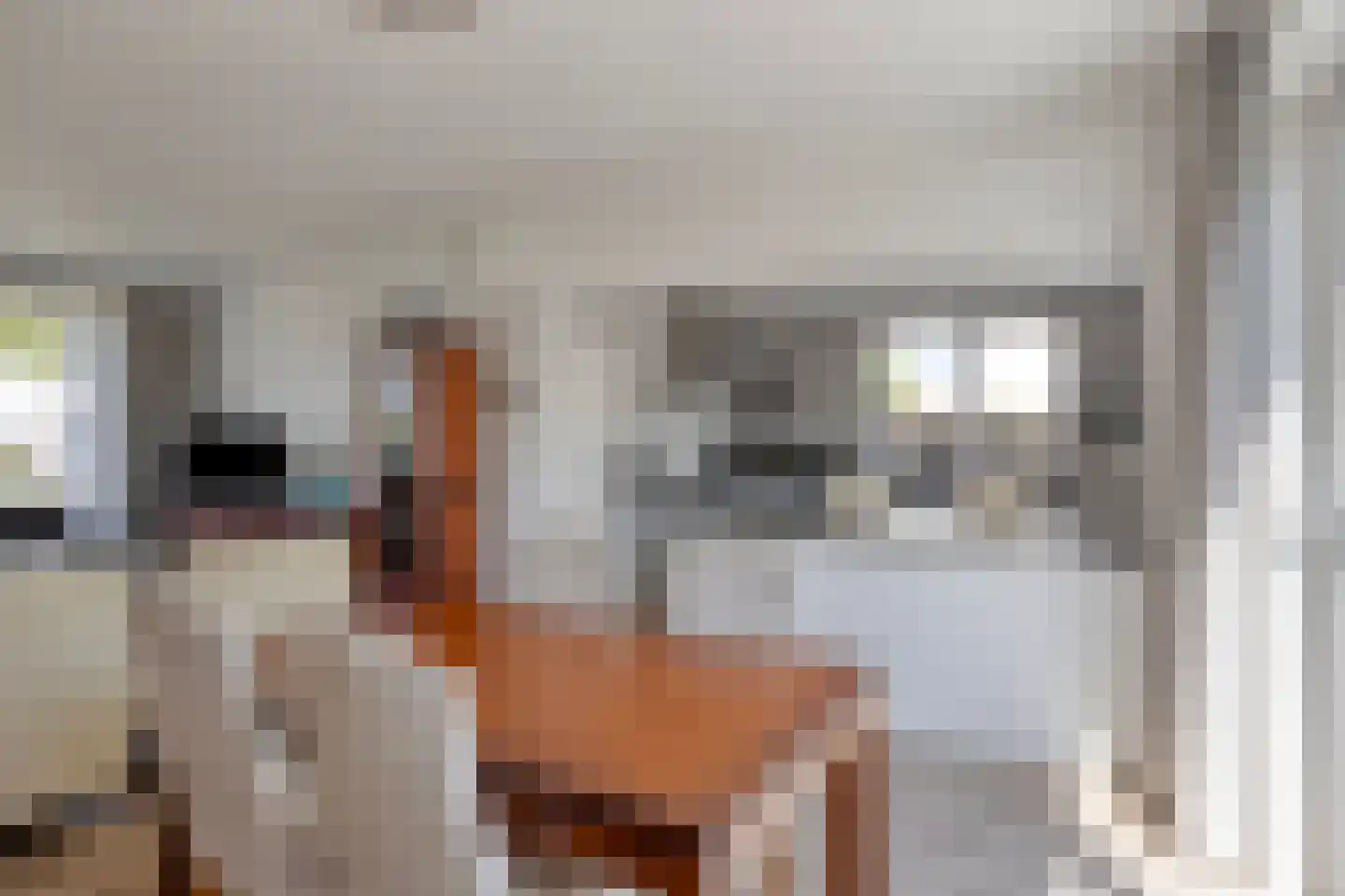 Veldekelaan 33 Beek thumbnail 12