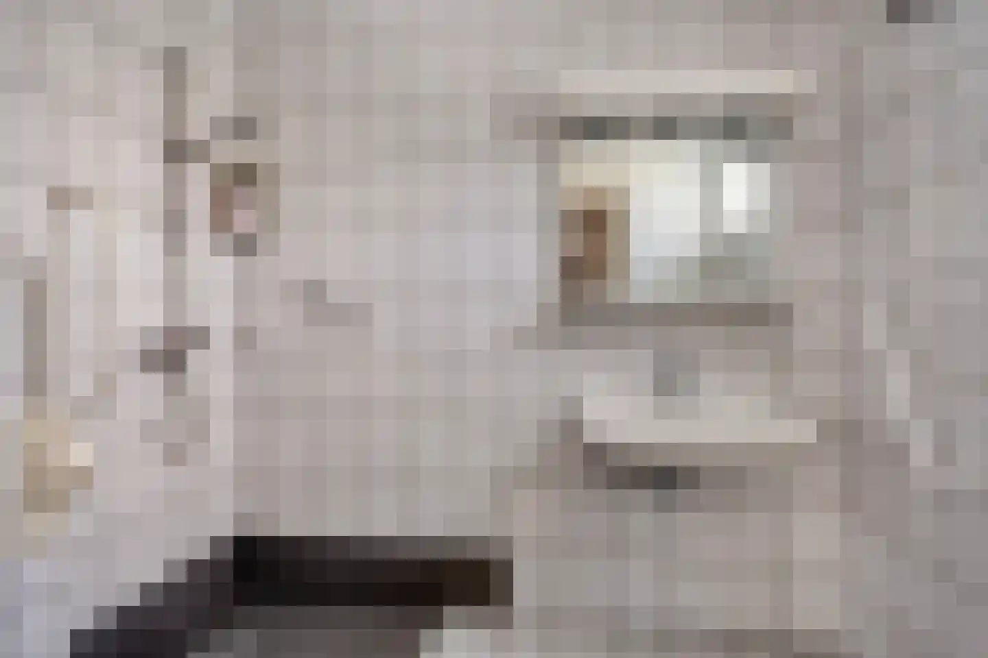 Veldekelaan 33 Beek thumbnail 23