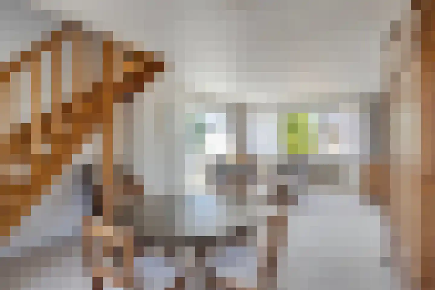 Veldekelaan 33 Beek thumbnail 35