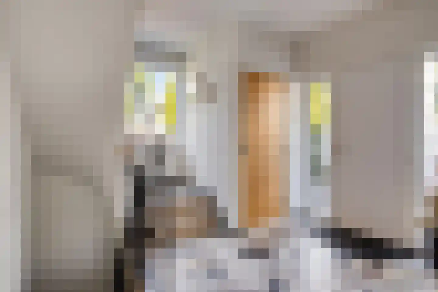Veldekelaan 33 Beek thumbnail 7