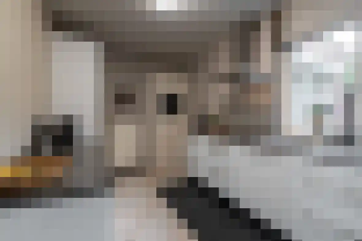 Veldekelaan 41 a Beek thumbnail 12
