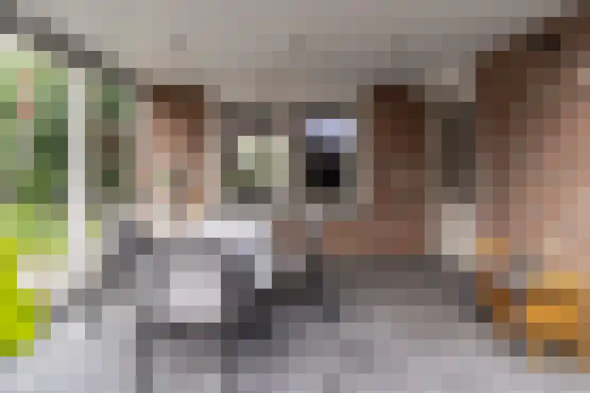 Veldekelaan 41 a Beek thumbnail 31