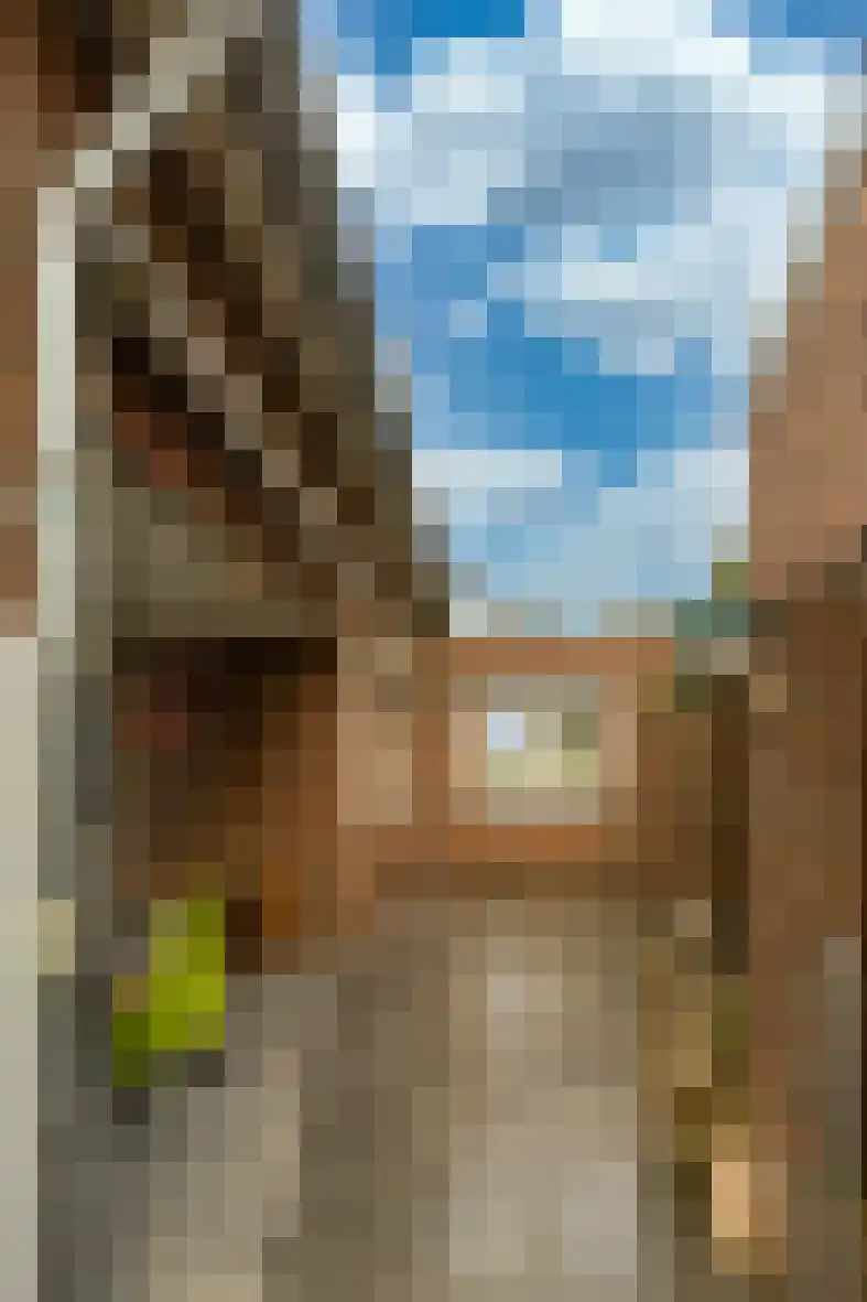 Veldekelaan 41 a Beek thumbnail 33
