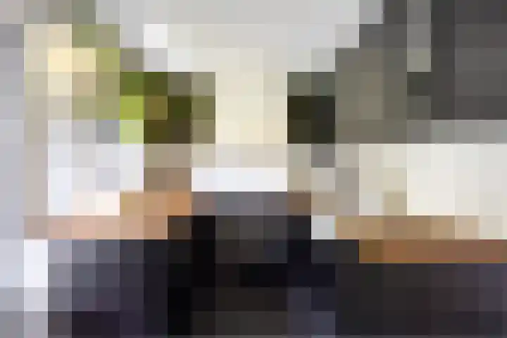 Veldekelaan 62 Beek thumbnail 11