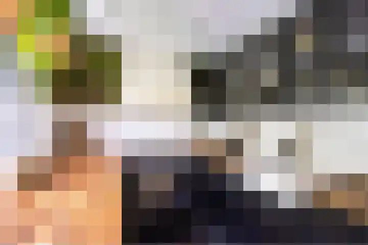 Veldekelaan 62 Beek thumbnail 12