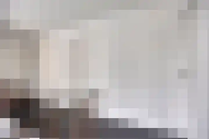 Veldekelaan 62 Beek thumbnail 14