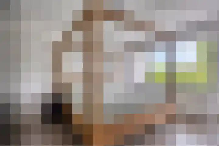 Veldekelaan 62 Beek thumbnail 15