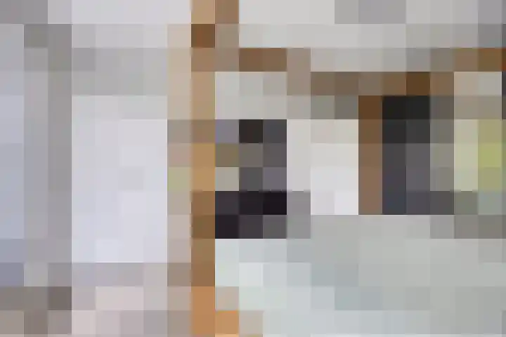 Veldekelaan 62 Beek thumbnail 16