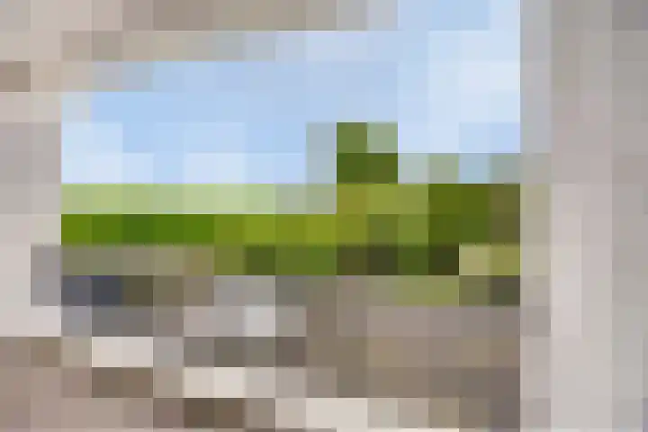 Veldekelaan 62 Beek thumbnail 17