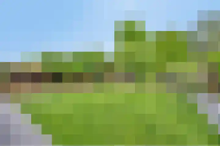 Veldekelaan 62 Beek thumbnail 23
