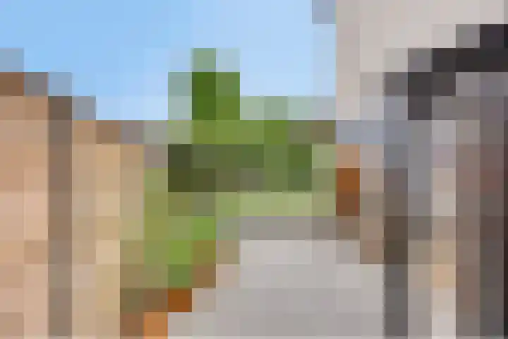 Veldekelaan 62 Beek thumbnail 29