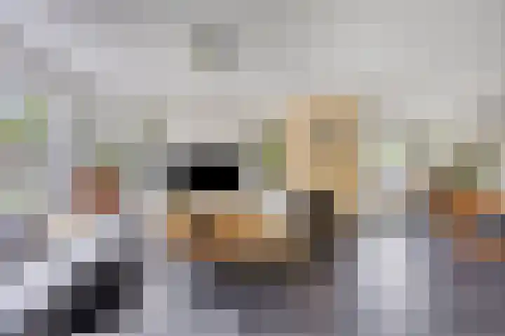 Veldekelaan 62 Beek thumbnail 8