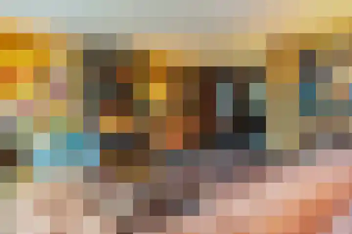 Veldekster 25 Ugchelen thumbnail 10