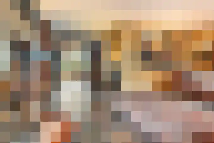 Veldekster 25 Ugchelen thumbnail 12