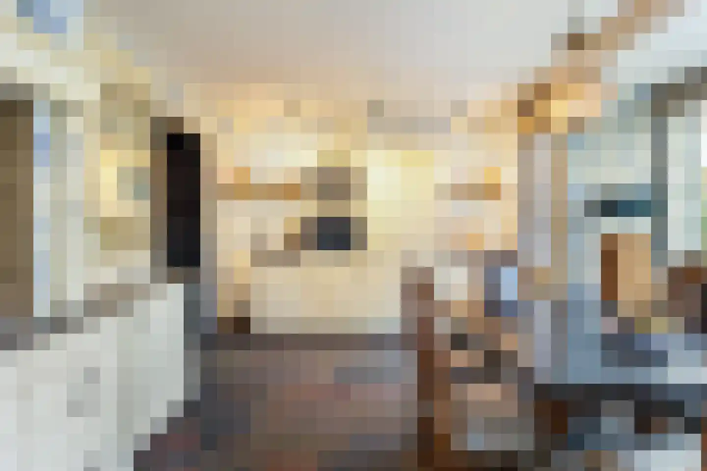 Veldekster 25 Ugchelen thumbnail 18