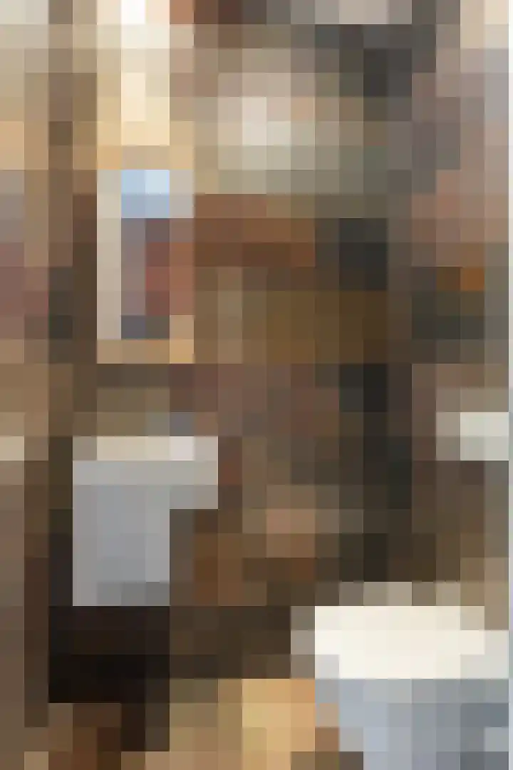 Veldekster 25 Ugchelen thumbnail 19
